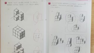 小2】玉井式「図形の極み」体験資料を請求、中学受験に向け解いた感想 