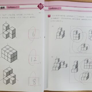 小2】玉井式「図形の極み」体験資料を請求、中学受験に向け解いた感想 